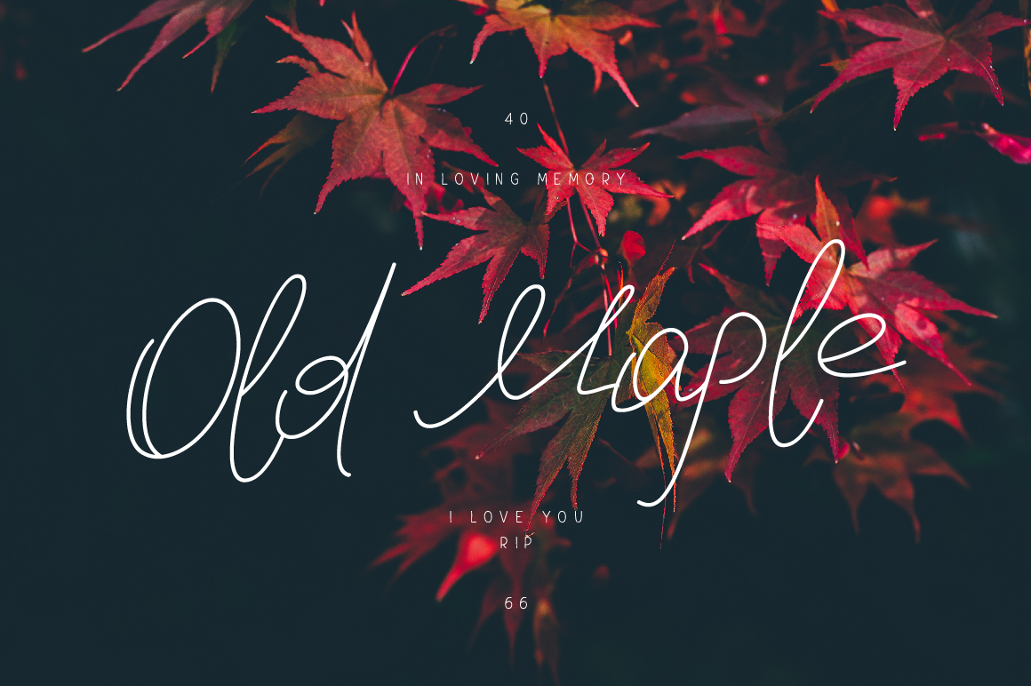 Old Maple: A Warm, Handwritten Font for Digital Branding