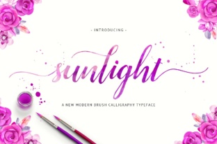 Sunlight Font: A Modern Script for Campaign Headlines