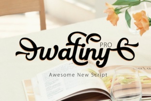 Wattiny Pro: A Fluid, Bold Script Font for Handmade Labels & Printables